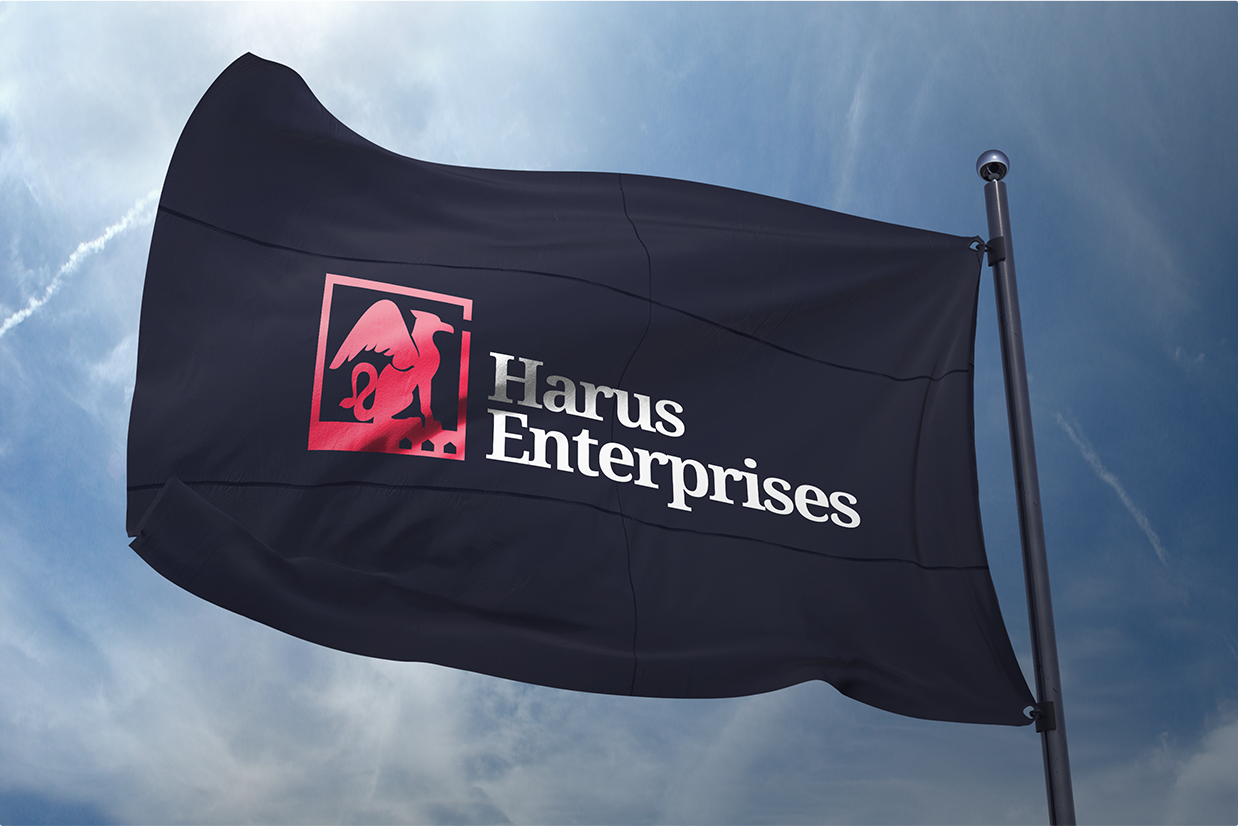 Download Harus Enterprises Play Studio